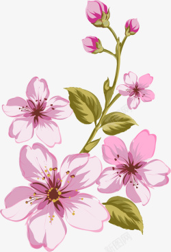 春暖花开粉色花朵素材