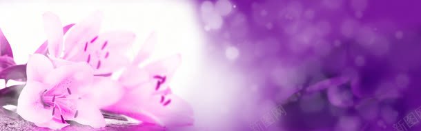紫色花朵背景jpg设计背景_新图网 https://ixintu.com 底纹 条纹 梦幻 素材 紫色 紫色背景图片 紫色背景图片模板下载 紫色背景图片素材下载 纹理 背景