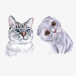 手绘水彩可爱猫咪头像素材