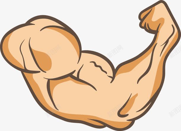 超有力量的手臂png免抠素材_新图网 https://ixintu.com 上臂 健身 健身教练 减肥塑形 强壮 手肘 手臂 握拳 有力量 肌肉
