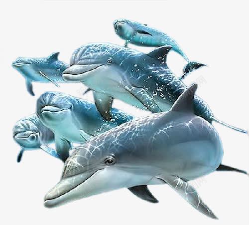 鱼png免抠素材_新图网 https://ixintu.com 一群鱼 动物 海洋生物 海豚 重叠的动物