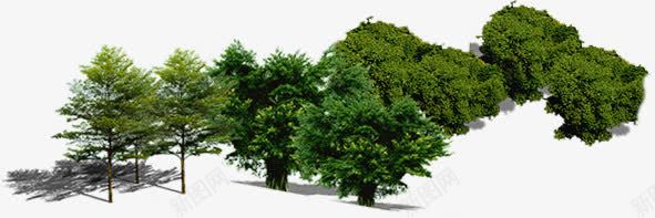 创意环境渲染效果绿色的大树png免抠素材_新图网 https://ixintu.com 创意 大树 效果 渲染 环境 绿色