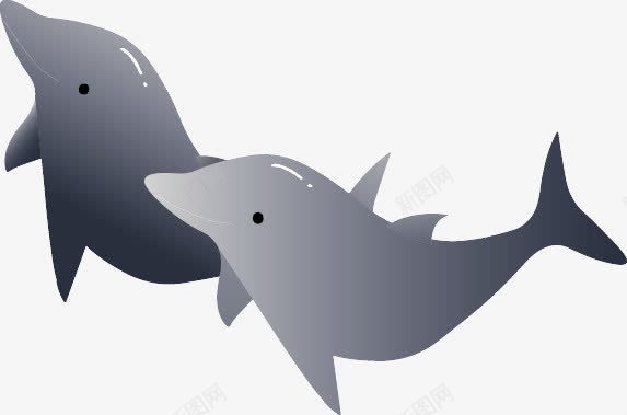 黑白渐变质感的可爱的海豚png免抠素材_新图网 https://ixintu.com 可爱 海豚 渐变 质感 黑白
