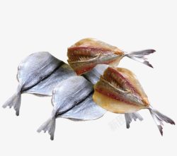 腌制菜海鱼鱼干高清图片