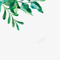 春天的绿色植物水墨画边框插图素材