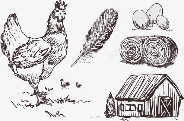 母鸡鸡蛋png免抠素材_新图网 https://ixintu.com 小草 小鸡 房屋 手绘 母鸡 简洁鸡生蛋 素描 羽毛 鸡蛋