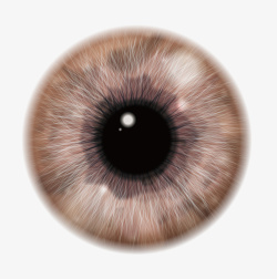 眼球设计矢量素材眼球棕色眼珠瞳孔高清图片
