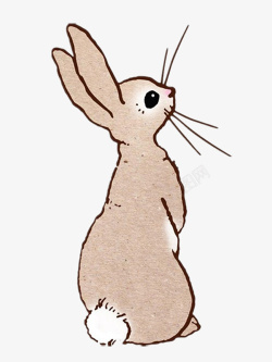站立兔子插画手绘兔子猫高清图片