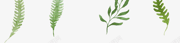 绿色植物树枝矢量图eps免抠素材_新图网 https://ixintu.com 手绘 树枝 植物 绿色 矢量图