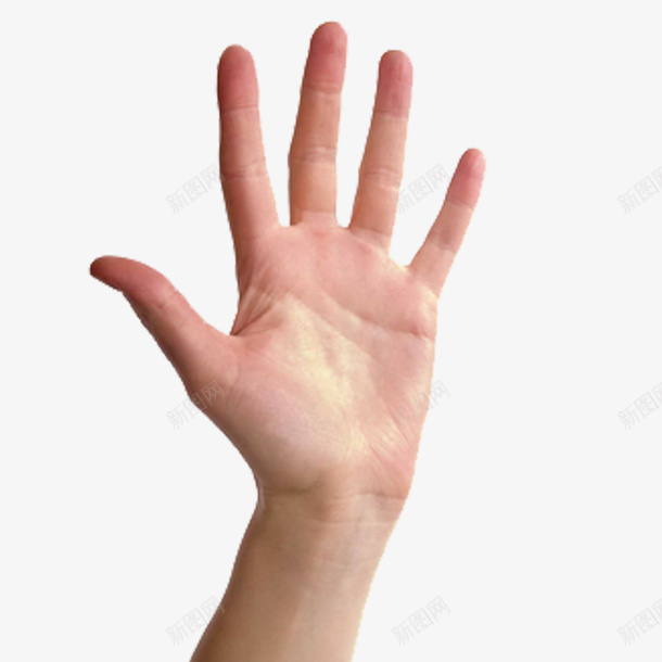 男人的手指png免抠素材_新图网 https://ixintu.com 伸开的手指 男人手 男人手指 矢量男人手 立体 简约 肉色