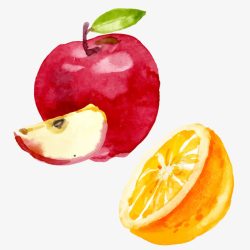 苹果组合水彩苹果和橙子组合高清图片
