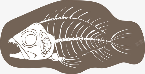 褐色背景化石鱼骨png免抠素材_新图网 https://ixintu.com 化石 卡通鱼骨 古老的鱼骨 白色鱼骨 矢量鱼骨 褐色背景 鱼刺 鱼刺骨头 鱼骨图
