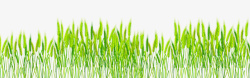 小禾苗手绘绿色春天稻谷高清图片