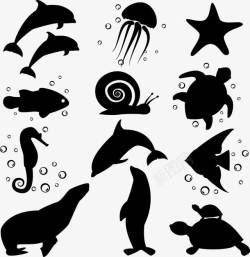 海马剪影海豚海马海鱼剪影矢量图高清图片