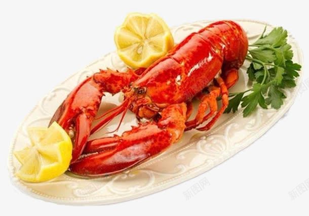 美味波士顿龙虾png免抠素材_新图网 https://ixintu.com 实物 波士顿龙虾 美味 美食