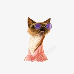 猫粉戴着眼镜的生气猫高清图片