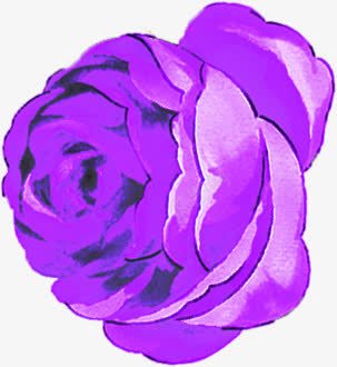 紫色玫瑰婚庆展板png免抠素材_新图网 https://ixintu.com 婚庆 展板 玫瑰 紫色