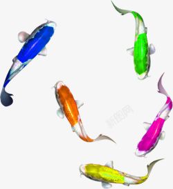彩色斑点鱼样式招聘海报素材