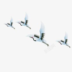 蓝色羽毛翅膀装饰背景飞翔的仙鹤高清图片