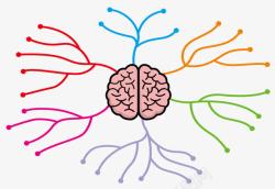 大脑智慧卡通大脑思维发散彩色树状图高清图片