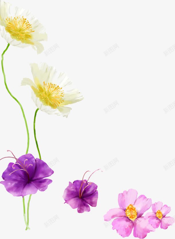 春天白紫色花朵装饰png免抠素材_新图网 https://ixintu.com 春天 紫色 花朵 装饰