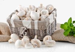 蘑菇篮子素材