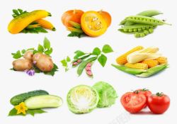 南瓜苦瓜新鲜的蔬菜绿色蔬菜新鲜西兰高清图片