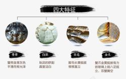 螃蟹详情页图片鉴别优质螃蟹四大特征高清图片