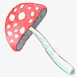 菌类插画手绘水彩蘑菇高清图片