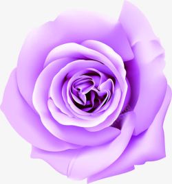 紫色玫瑰创意合成手绘紫色的玫瑰花高清图片
