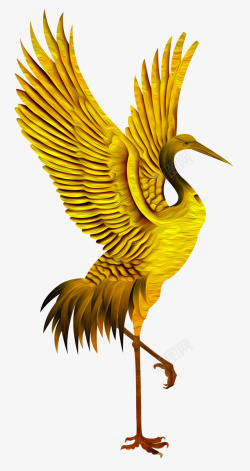 美丽的翅膀黄色的仙鹤高清图片