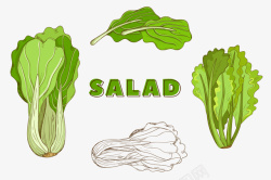 蔬菜字母U手绘绿色的蔬菜高清图片