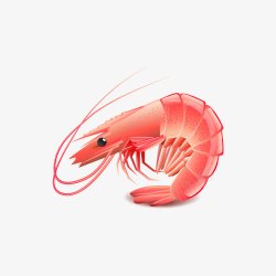 海鲜虾肉卡通手绘美味大虾高清图片