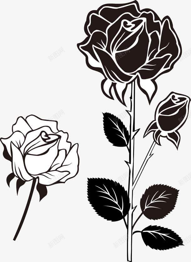 黑白玫瑰花png免抠素材_新图网 https://ixintu.com 玫瑰纹身 玫瑰花 线条 花朵 装饰 黑白