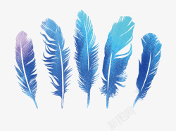 五个蓝紫色的五个羽毛矢量图高清图片