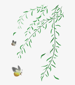 水彩柳树飞舞的柳条和蝴蝶高清图片