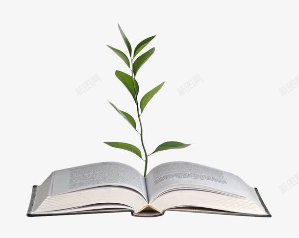 长着植物的书本png免抠素材_新图网 https://ixintu.com 书 书本 叶子 打开 植物 绿色 翻书效果 翻开