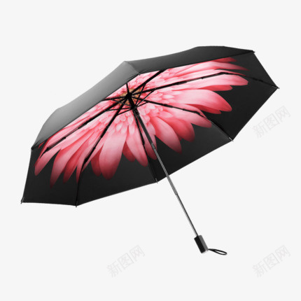 雨伞透明png免抠素材_新图网 https://ixintu.com png 用品 蕉下 雨伞