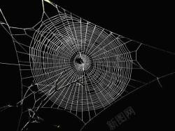 蜘蛛网蛛丝织网背景高清图片