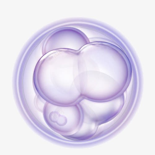 紫色干细胞元素png免抠素材_新图网 https://ixintu.com 元素 免费下载 医学 干细胞 紫色