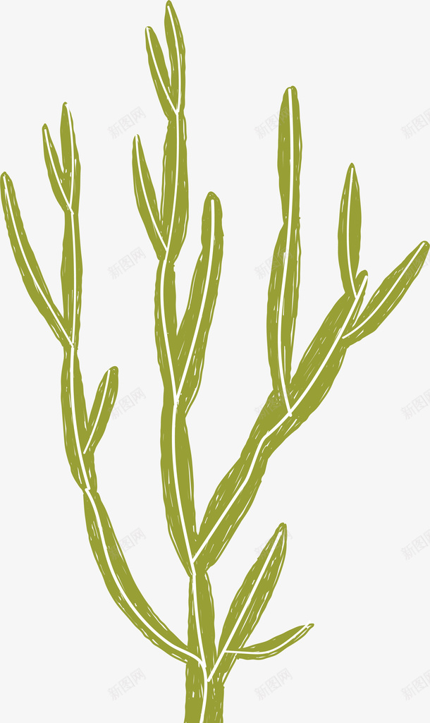 卡通装饰线条海洋生物海报海png免抠素材_新图网 https://ixintu.com 动物插画 卡通海洋生物 卡通装饰线条海洋生物海报设计海草免费下载 广告设计 旅游宣传册设计 海报设计 海草 简笔画线条海洋生物