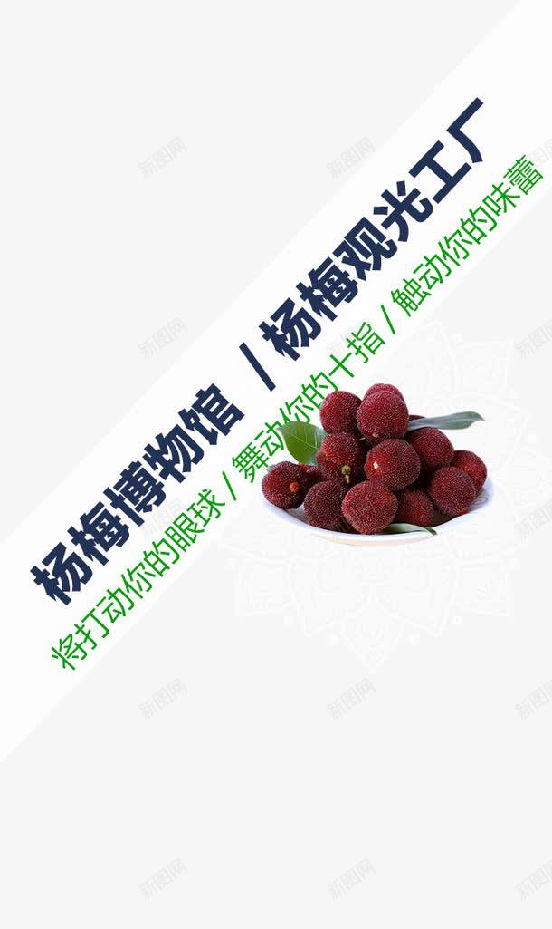 h5杨梅节png免抠素材_新图网 https://ixintu.com h5杨梅节 新鲜 杨梅 水果 超市展板元素