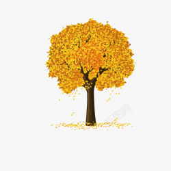 树木绘图卡通银杏树手绘图高清图片