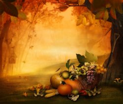 秋季金黄色树叶秋天树林风景与水果蔬菜高清图片
