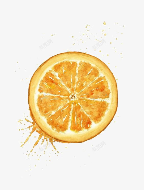 手绘水彩橙子png免抠素材_新图网 https://ixintu.com 创意 卡通 手绘橙子 橙子切片 橙子图片 橙汁 水彩橙子