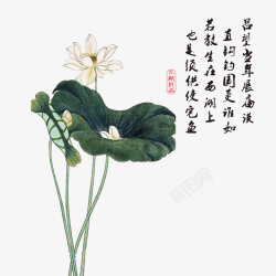 清明节水墨风荷花素材