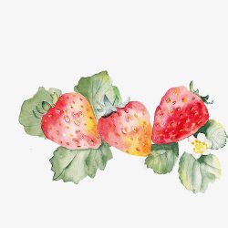 小清新简约水彩手绘红色草莓素材