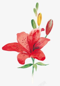 花卉红色花朵花苞装饰素材