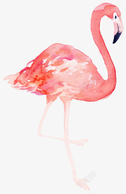 小清新火烈鸟粉红色的火烈鸟手绘高清图片