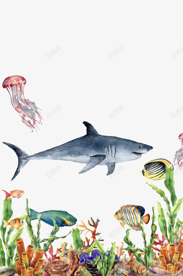 手绘水彩海洋生物图png免抠素材_新图网 https://ixintu.com 卡通手绘 叶子 彩色水母 植物 水彩 水母 海洋生物 红色水母 绿色 鱼儿